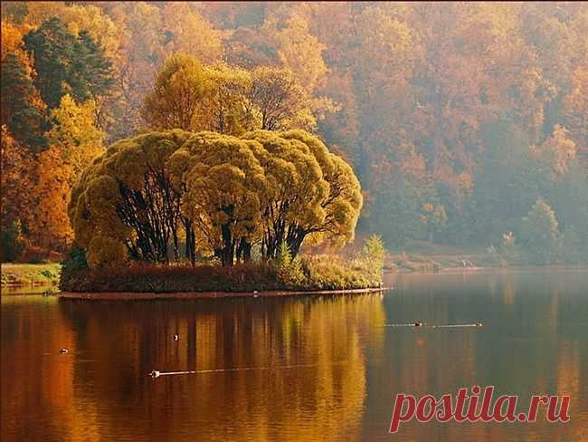 Осень – это сказка грусти и любви!.