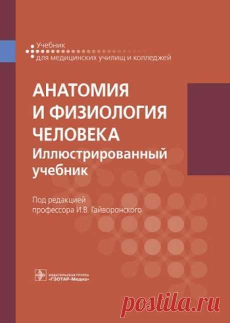 Анатомия и физиология человека. Учебник для медицинских училищ и колледжей 2023