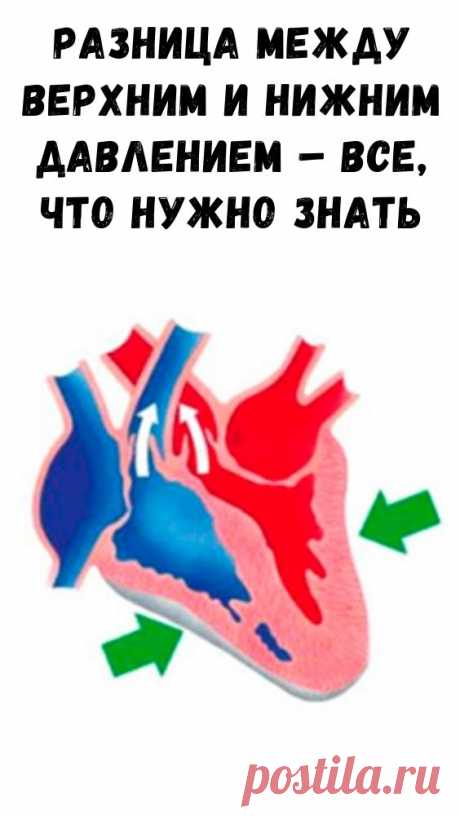 Разница между верхним и нижним давлением – все, что нужно знать - Интересный блог