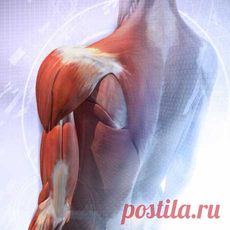 4 упражнения для омоложения организма Эти четыре упражнения, которые укрепят и стабилизируют ваше здоровье, активизируют мышцы. Они увеличат вашу гибкость и подвижность, и, чем больше будет ваш опыт ежедневных занятий, тем быстрее вы почу...