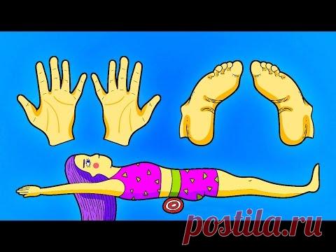 Ar turite nukarusią apatinę pilvo dalį ir riebalų ant klubų? Išbandykite šį japonišką metodą - jis per 4 savaites sumažins liemens apimtis! | Zinoti.lt