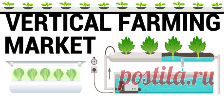 Vertical Farming Market Size, Share &amp; Analysis Report [2022-2029]