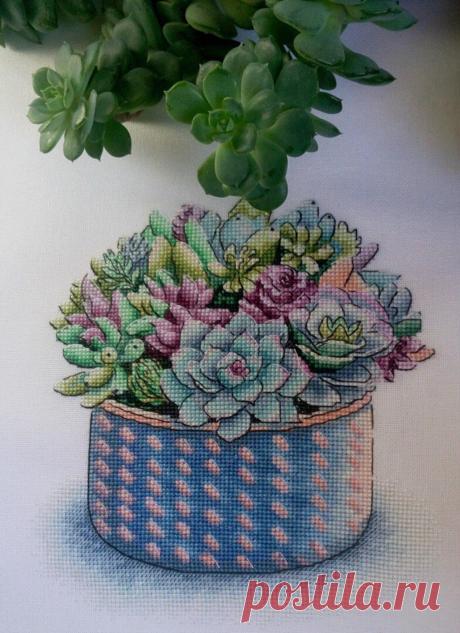 Succulent Cross Stitch Pattern Pdf Instant Download Plant 7C1
