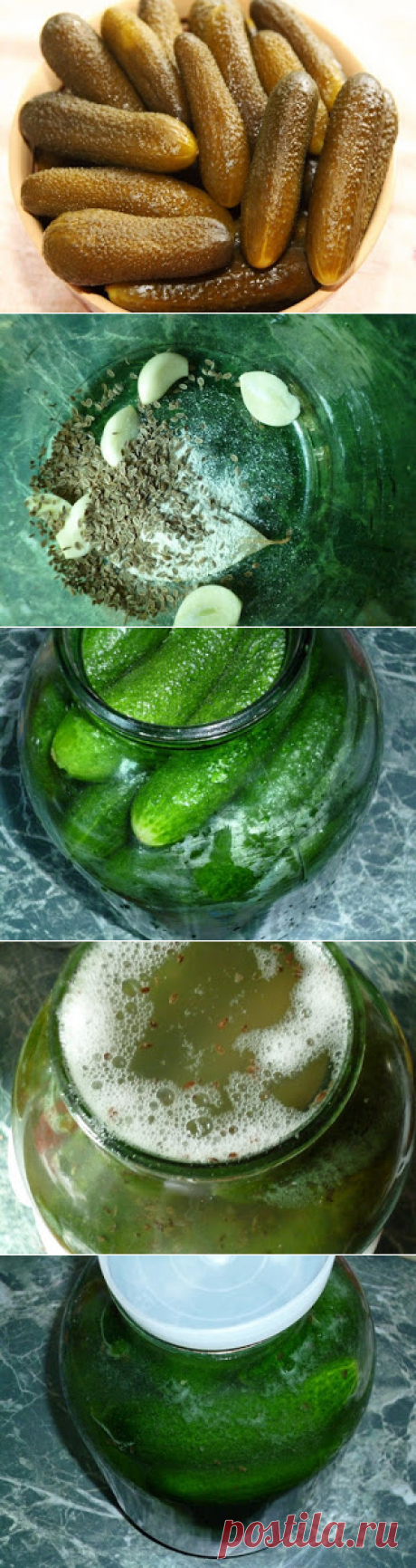 Самые вкусные рецепты: Огурцы солёные в банке (для хранения в квартире)