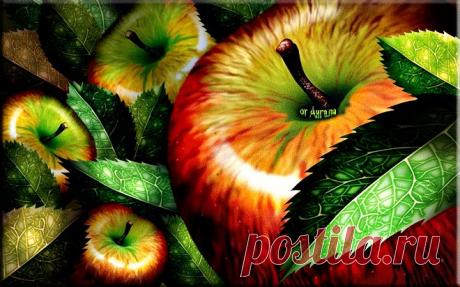 Яндекс.Фотки