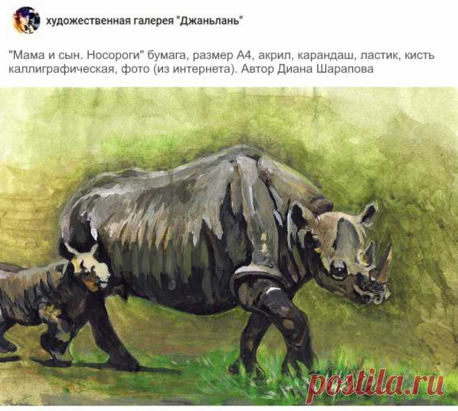 носороги
