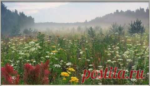 КАЛЕНДАРЬ НА АВГУСТ 2015 г. | ДОСТОЙНАЯ ЖИЗНЬ НА ПЕНСИИ