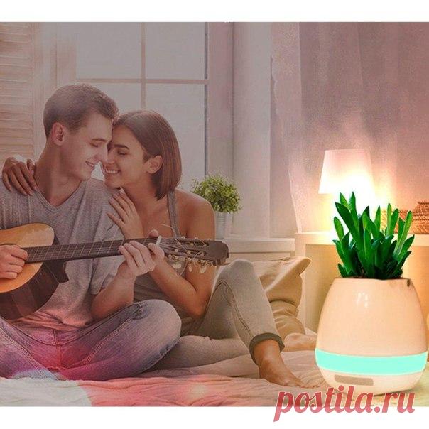 💟 Укрась домашний интерьер современным дизайнерским решением. Музыкальный цветочный горшок 3 в 1: музыкальный инструмент с листьями вместо клавиш 😃 🔈 bluetooth-колонка с качественным звуком LED ночник с плавной сменой цвета 🌈 Подходит к любому интерьеру гостиной, спальни, кухни и детской. ‼ Супер цена только до 8 декабря. Всего за 1190 рублей.🔥 ▫Музыкальный горшочек для цветов - новинка на рынке умных устройств для дома. Встроенный в горшочек сенсор срабатывает на каждое прикосновение к листку…