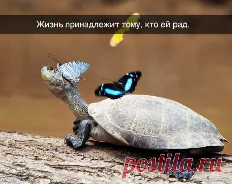 Одной фразой. Часть 2 | Полезные советы