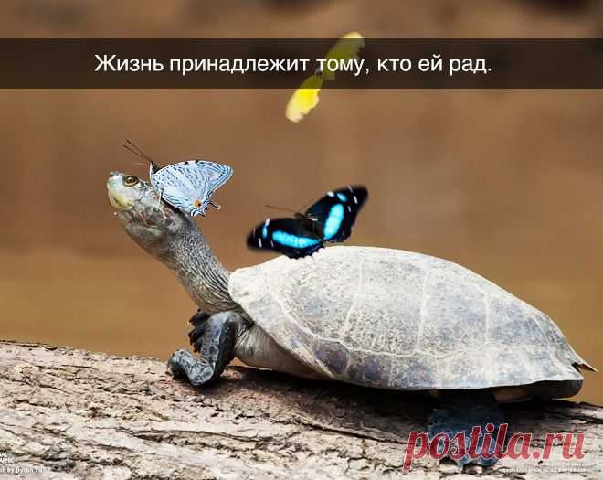 Одной фразой. Часть 2 | Полезные советы