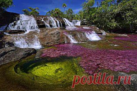 НА САМОЙ КРАСИВОЙ РЕКЕ МИРА - КАНЬО КРИСТАЛЕС