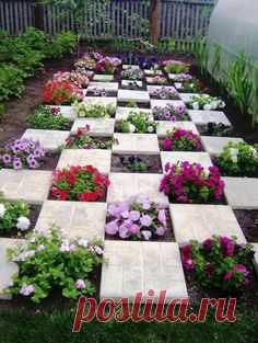 Picturesque and colorful petunias create gorgeous centerpieces for garden design and yard landscaping. A creative container or a hanging basket with these flowering plants that bloom from spring to fa