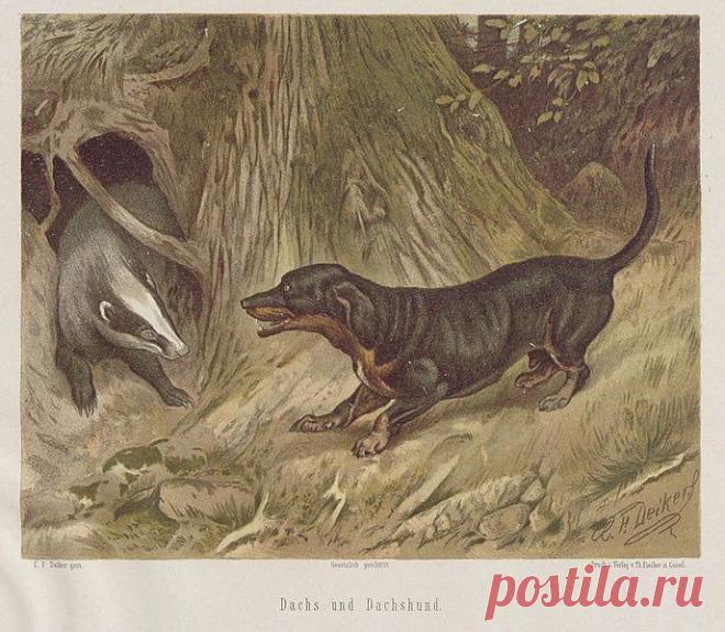 Найдено на сайте en.wikipedia.org.