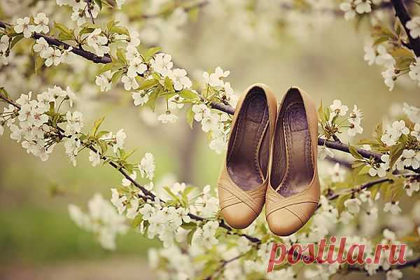 5 советов, как выбрать идеальные свадебные туфли - WeddyWood