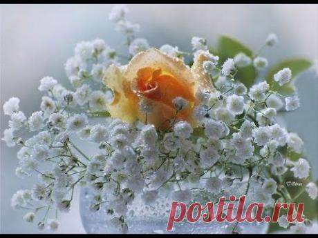 музыкальная открытка "Желаю счастья" | В гостях у тамады!