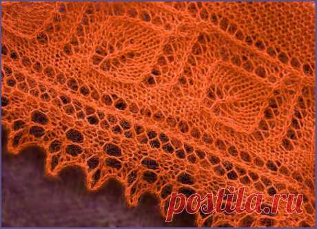 Дневник Зверобой