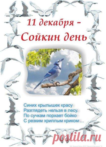 Поздравляем с Сойкиным днем! Пусть ваша забота о птицах принесет вам радость и благополучие. Спасибо, что помогаете лесным жителям! Открытки на Сойкин день!