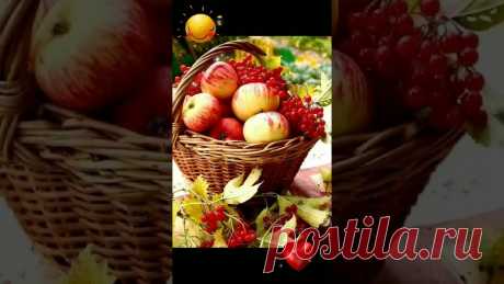 ДОБРОЕ УТРО ! Здооовья Вам и Вашим близким !!! ... 🍊🍇🍋🍍🥭🍎🍏🍑🍒 #доброеутро