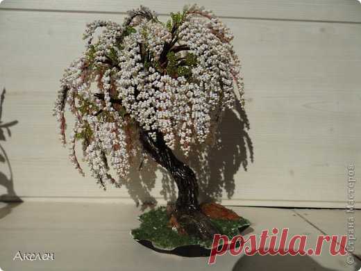 Черемуха МК | Страна Мастеров