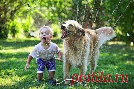 Google+