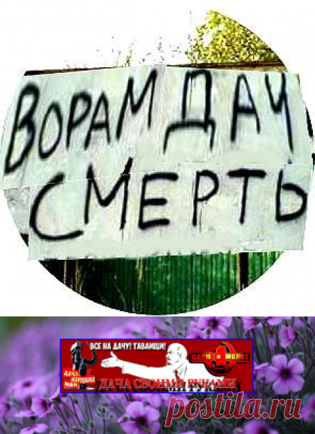 ДАЧНЫЙ ПАРТИЗАН ☭. Смотрите видео онлайн, бесплатно