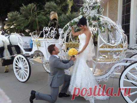 Svetlana ♥(ړײ)♥
О.А.Э., ██████ Сотри монеткой... Узнаешь