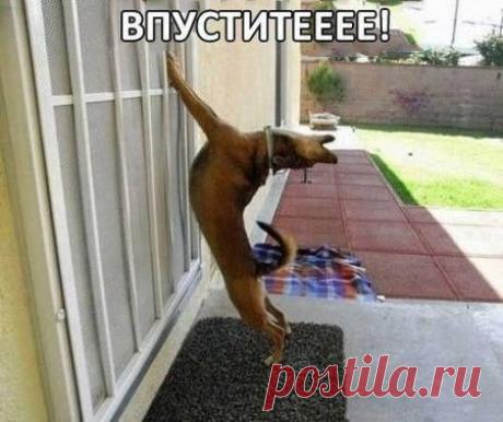 Лилия Советкина | ВКонтакте