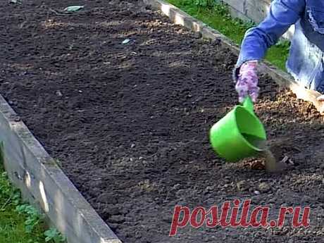 Рецепт раствора, который восстанавливает плодородие почвы. Им нужно пролить почву осенью после сбора урожая