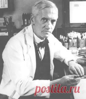 Наша удивительная планета: Принцип бумеранга