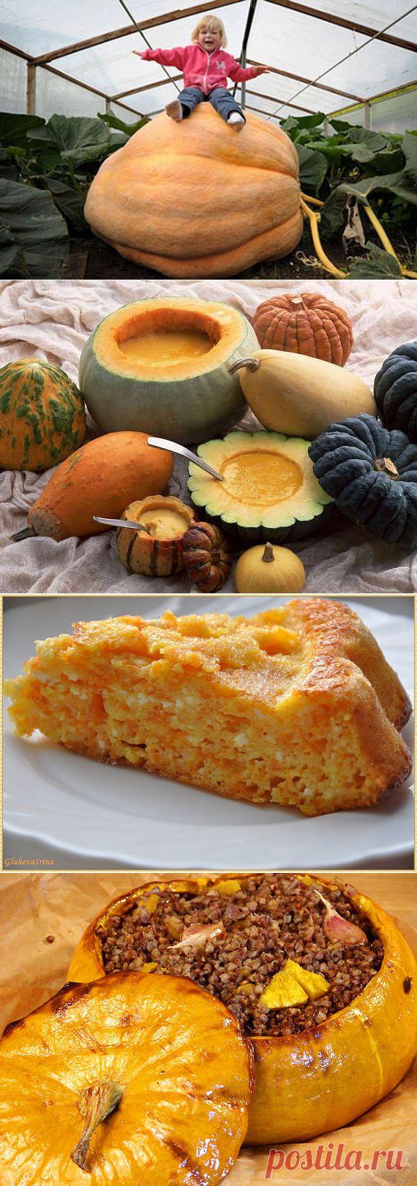 Оранжевая тыква