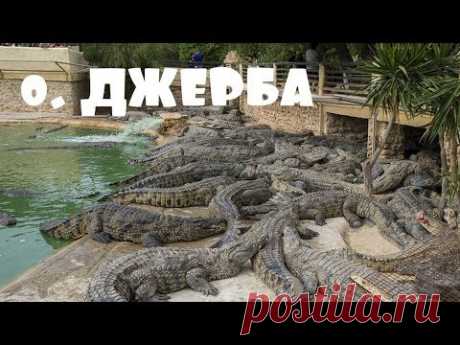 НЕОЖИДАННАЯ ПОЕЗДКА. СЕВЕРНАЯ АФРИКА. ОГРОМНЫЕ КРОКОДИЛЫ - YouTube