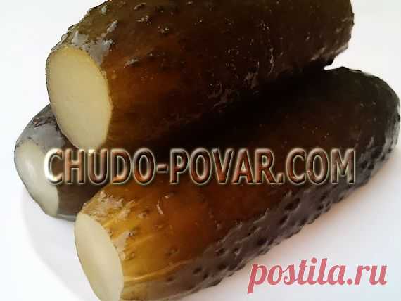 ЗАСОЛКА ОГУРЦОВ ХОЛОДНЫМ СПОСОБОМ. Рецепт засолки огурцов с фото