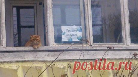 Редкие кадры.
