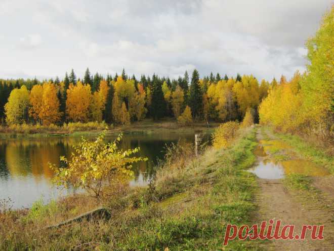 WWW.KIZEL.RU - Cайт города Кизел Пермского края - Фотоальбом