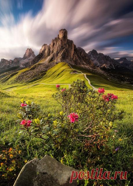 Интересные картинки, цитаты