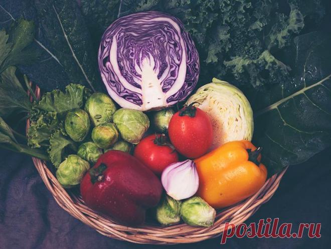 Не кисло: топ-20 продуктов питания, богатых антиоксидантами
Недавно мы опубликовали статью об антиоксидантах – «противоокислителях», которые нейтрализуют разрушительное действие свободных радикалов (оксидантов) на клетки человека. Напомним, в нашем организме образуются опасные свободные радикалы, когда мы злоупотребляем солнцем, вдыхаем грязный воздух, глотаем сигаретный дым, едим что попало,...
Читай дальше на сайте. Жми подробнее ➡