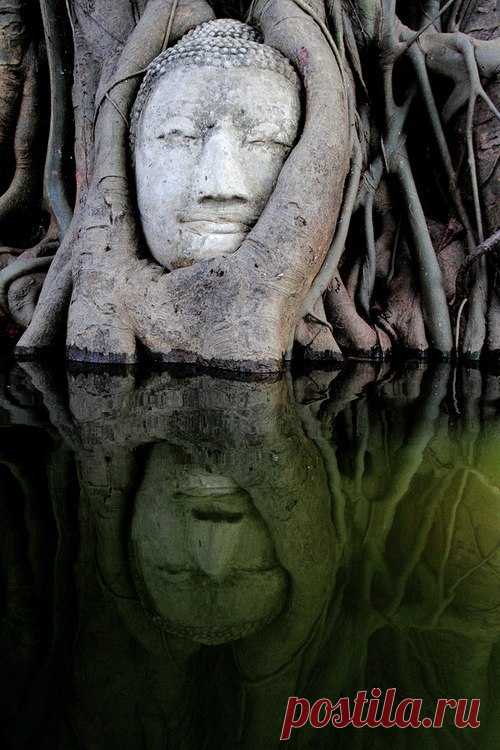 Meticulous Midgets compilation (august 2019) | Радио-анонсы | Арт-лейбл, интернет-радио METICULOUS MIDGETS