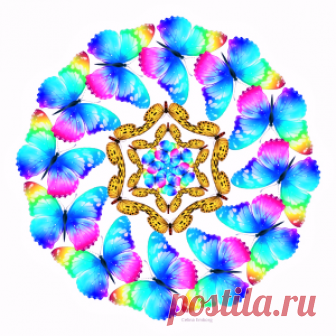 Mandalas con mariposas. ¿cuál es su significado? - Celina Emborg