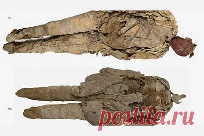 Ученые определили вложенные в погребальную куклу останки человека в Хакасии. Ученые смогли идентифицировать останки, вложенные в погребальную куклу таштыкской культуры, и определить пол человека. Находка была сделана на месте могильника Оглахты в Хакасии еще в 1969-м, но тогда археологи не были готовы к ее исследованию. Умершего мужчину от 20 до 45 лет кремировали в III-IV веке нашей эры.