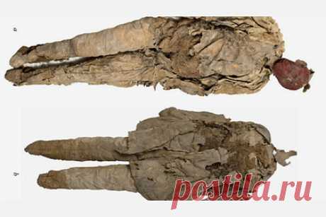 Ученые определили вложенные в погребальную куклу останки человека в Хакасии. Ученые смогли идентифицировать останки, вложенные в погребальную куклу таштыкской культуры, и определить пол человека. Находка была сделана на месте могильника Оглахты в Хакасии еще в 1969-м, но тогда археологи не были готовы к ее исследованию. Умершего мужчину от 20 до 45 лет кремировали в III-IV веке нашей эры.