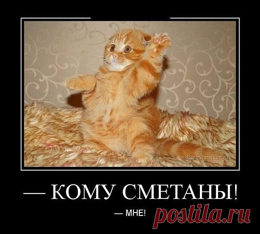 ♥ ВСЕМ ДОБРА ♥