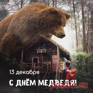 С Днём медведя! Пусть твоя жизнь будет такой же мощной и величественной, как этот символ нашей страны. Желаю тебе находить уют и тепло в любой ситуации, как медведь в берлоге. Открытки на День медведя!