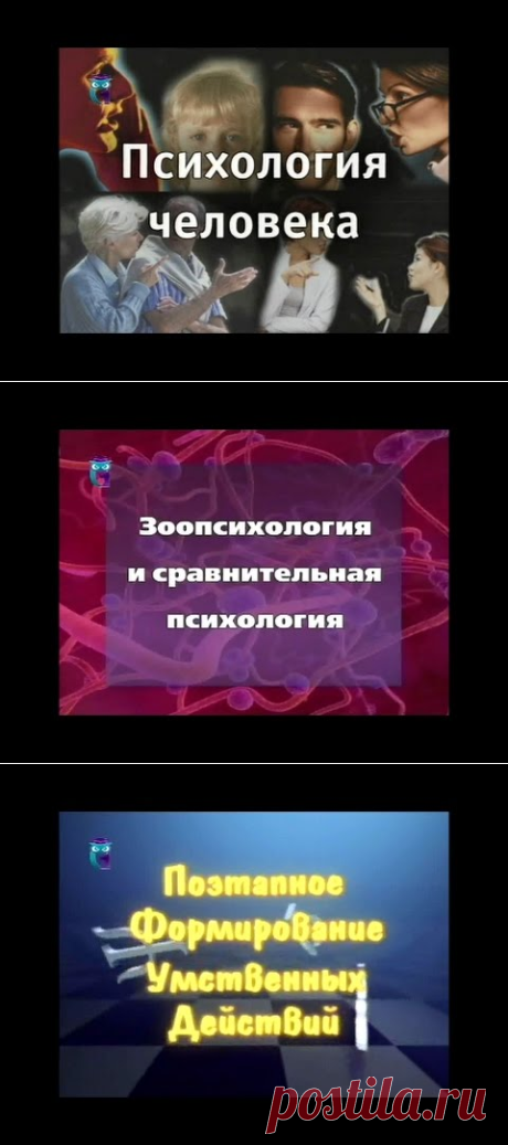 (7) Зоопсихология и сравнительная психология - YouTube