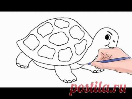 Как рисовать Черепаха легкий шаг за шагом