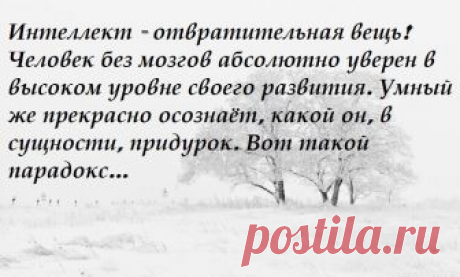 Самые лучшие цитаты, статусы и афоризмы Существует понятие «пустые слова» то есть это слова, не имеющие никакого смысла. Уметь вкладывать глубокий смысл в произнесенное, - великое искусство