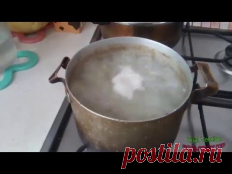 готовлю для собаки