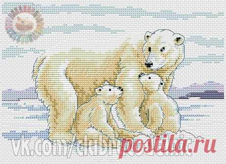 #Животные
#вышивка #схемы #рукоделие #handmade #хомячки #clubrucodelnic #медведи