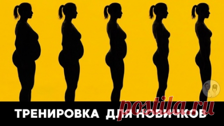 Похудение для новичков: начни с простой тренировки, без прыжков и гантелей (25 минут в день) | Главный по фигуре | фитнес | Дзен