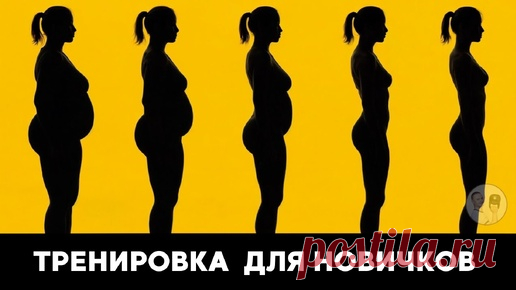 Похудение для новичков: начни с простой тренировки, без прыжков и гантелей (25 минут в день) | Главный по фигуре | фитнес | Дзен