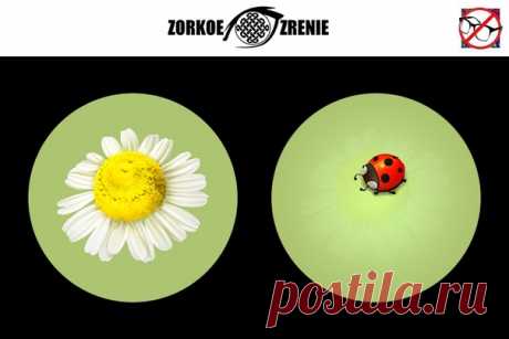 ⌘ ЗАРЯДКА ДЛЯ ГЛАЗ ⌘

Посади жучка на цветок!

Перед вами одно из сильнейших упражнений для тренировки зрительной системой и осознанного управления мышцами глаз.
Показать полностью...